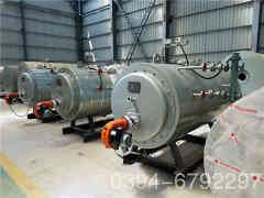  8吨冷凝天然气乐动（中国）