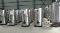  一吨燃气冷凝乐动（中国）