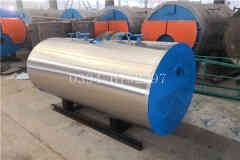  两吨环保蒸汽乐动（中国）