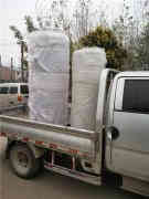  燃气乐动（中国）