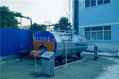  1吨低氮蒸汽乐动（中国）