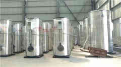  六吨燃气低氮乐动（中国）