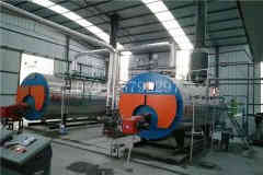  一吨低氮冷凝蒸汽乐动（中国）