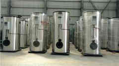  12吨低氮蒸汽乐动（中国）