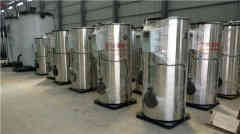  八吨冷凝燃油乐动（中国）