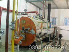  8吨冷凝燃油乐动（中国）