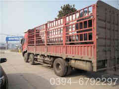  40万大卡常压热水乐动（中国）