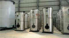  12吨柴油蒸汽乐动（中国）