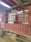  低氮冷凝热水乐动（中国）