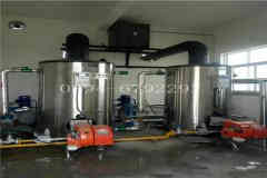 25吨燃煤乐动（中国）