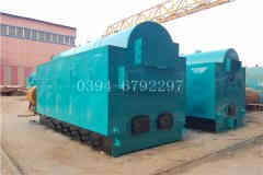 燃气乐动（中国）蒸汽发生器