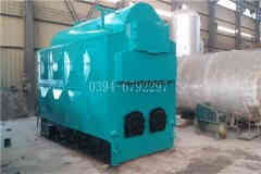 6吨燃油蒸汽乐动（中国）