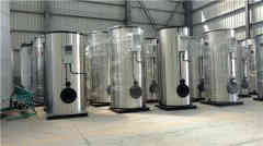 蒸汽乐动（中国）煤改气