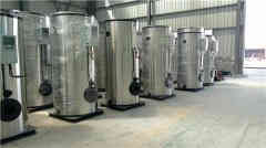 固定式蒸汽乐动（中国）