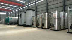 1吨燃油蒸汽乐动（中国）