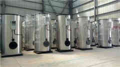 立式燃油蒸汽乐动（中国）厂家