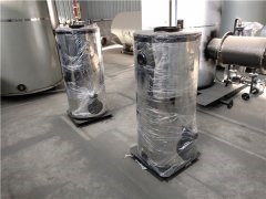 1吨低氮冷凝乐动（中国）