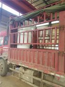 120万大卡真空乐动（中国）