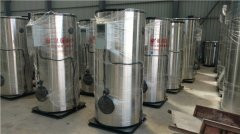 低氮冷凝乐动（中国）