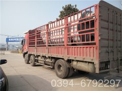 6吨电加热蒸汽乐动（中国）