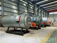 20吨天然气低氮乐动（中国）