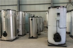 12吨冷凝燃油乐动（中国）