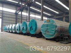 0.3吨燃油蒸汽乐动（中国）