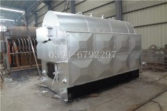 2吨燃气低氮乐动（中国）