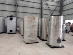 3吨天然气真空乐动（中国）