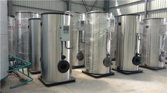 6吨天然气蒸汽乐动（中国）