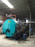 十吨燃煤蒸汽乐动（中国）