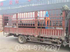 燃油乐动（中国）品牌