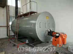 二吨冷凝燃气乐动（中国）