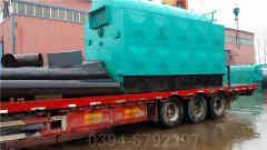 低氮冷凝蒸汽乐动（中国）