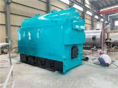 五吨燃煤乐动（中国）