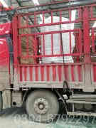 燃煤燃气乐动（中国）对比