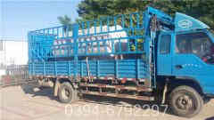 六吨燃油乐动（中国）