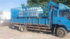 热水乐动（中国）价格