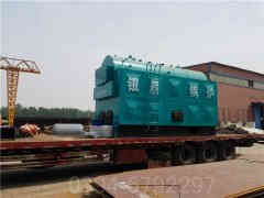 燃煤乐动（中国）控制