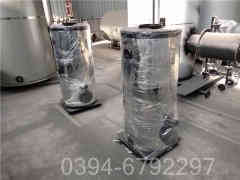 6吨燃气低氮乐动（中国）