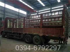 燃油乐动（中国）乐动（中国）