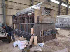 4t天然气蒸汽乐动（中国）