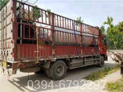 燃油燃气乐动（中国）公司