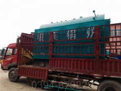 100万大卡低氮蒸汽乐动（中国）