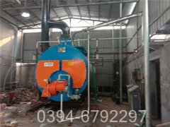 12吨低氮冷凝乐动（中国）