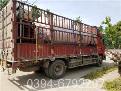 2吨燃气低氮乐动（中国）