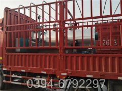 6吨燃气低氮乐动（中国）