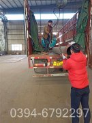 蒸汽乐动（中国）一般