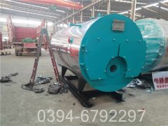 60万大卡卧式热水乐动（中国）