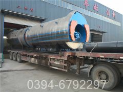 12吨环保热水乐动（中国）